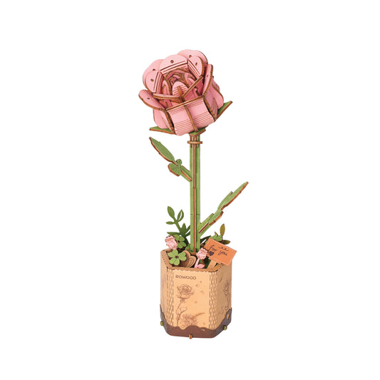 DIYRICLE | Pink Rose
