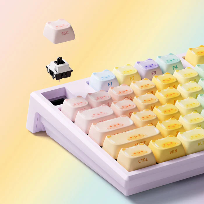 Colorful Cats Mechanical Keyboard